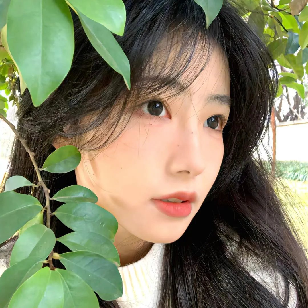 母性之光
