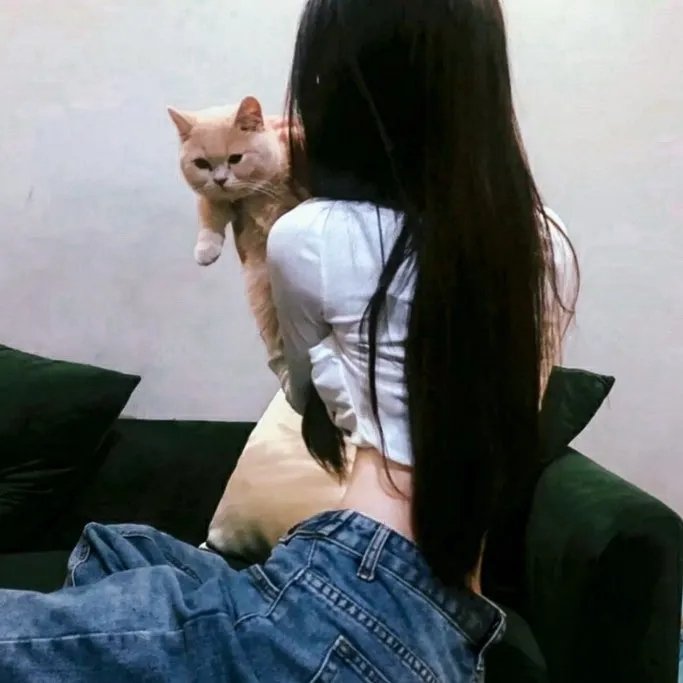 洋葱电影