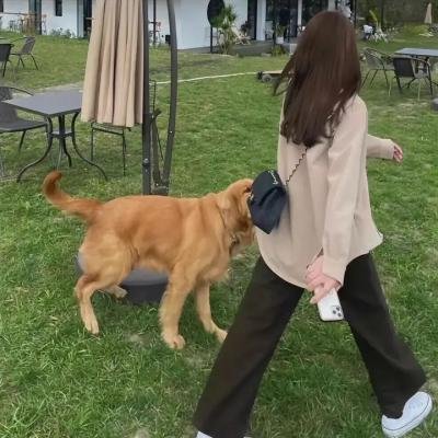 鬼猛腳